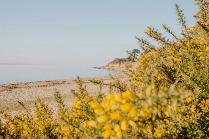 A view of a body of water from a distance